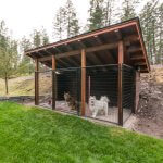 Dog Kennels  2