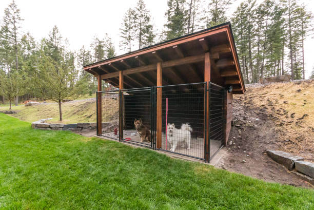 Dog Kennels  2
