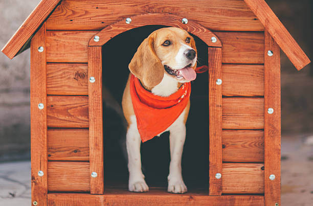 Dog Kennel