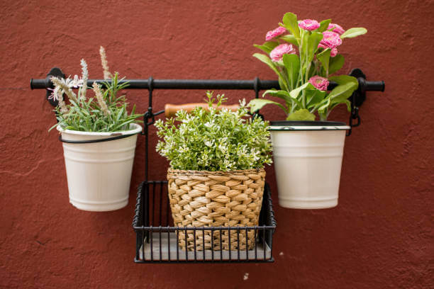 A collection of three potted plants hanging on a wall in the old town of Granada, Spain