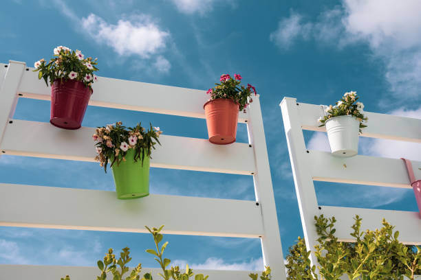 Colored flowers in metallic colored vases hanging from a white fence with a blue sky in the background. Summer atmosphere in the garden. View from below