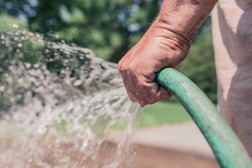 man-hand-garden-growth.jpg