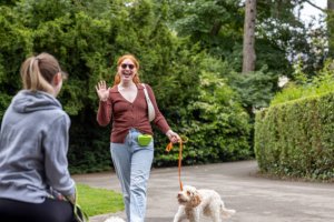 A medium shot of two adult females meeting up in a local park with their dogs in Hartlepool, North East England. The female in main focus is smiling while waving at her friend who has her back to the camera, while leading a Goldendoodle dog on a leash. She lives with Behçet's disease, a chronic autoimmune condition. She has eye uveitis so wears shaded glasses to counter the increased light sensitivity she experiences. 

Videos similar to this scenario are available.