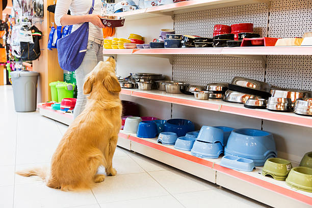 Cute Golden retriever and his owner in pet store,buying new pet bowl