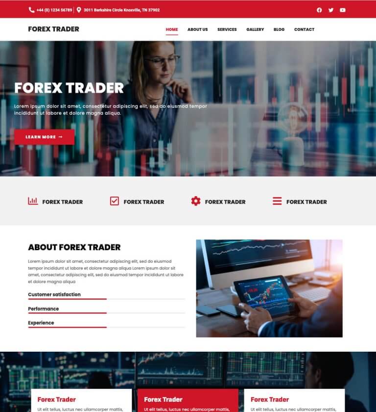 Forex Trader