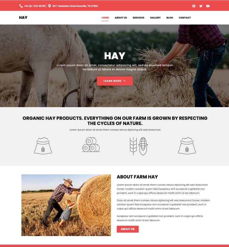 Hay