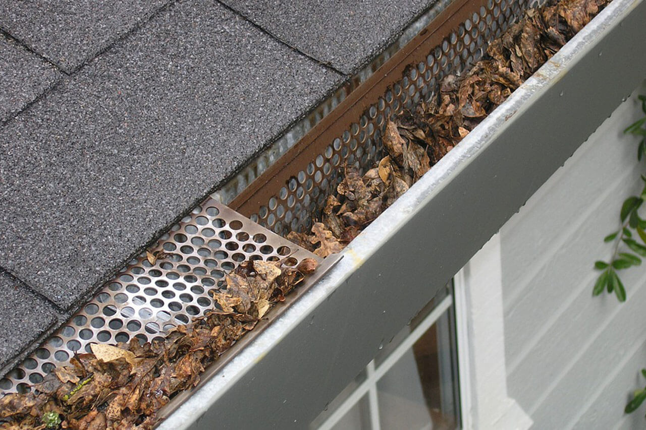 gutter-guard-ipswich-2434467_960_720-copy-1.jpg