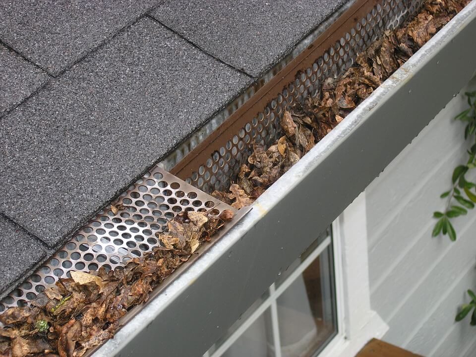 gutter-guard-ipswich-2434467_960_720.jpg