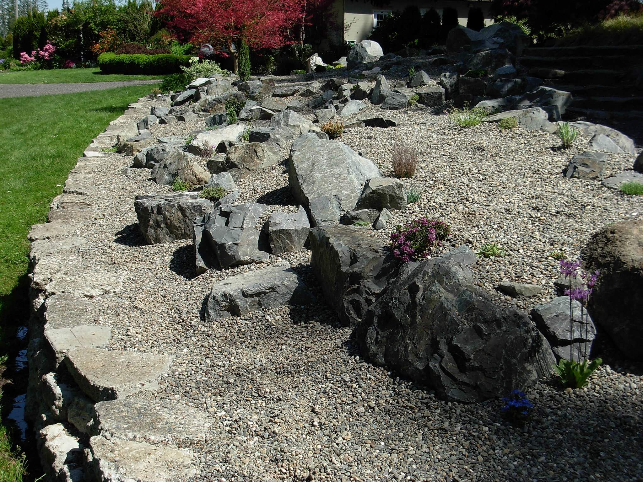 Rock_Garden_-_Evergreen_Arboretum_and_Gardens.jpg